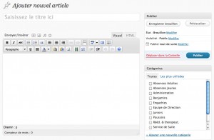 L'interface de publication de WordPress